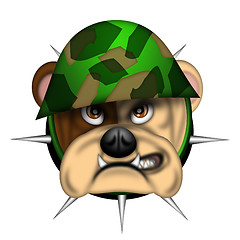 Image showing English Bull Dog Head with Army Helmet