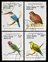 Image showing Collection of birds stamps.