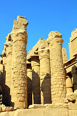 Image showing columns in egypt karnak temple