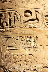 Image showing column with ancient egypt hieroglyphics