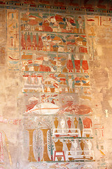 Image showing ancient egypt images in Temple of Hatshepsut