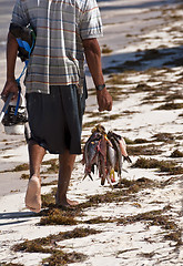 Image showing Fishing for survival.