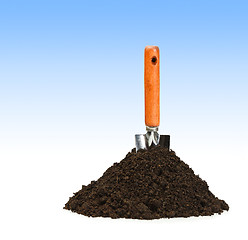 Image showing Spade and dirt