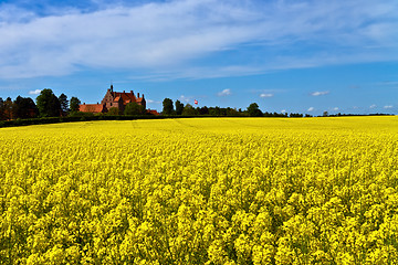 Image showing Castle surrounded by canola fields