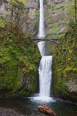 Image showing Multnomah Falls