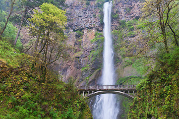 Image showing Multnomah Falls