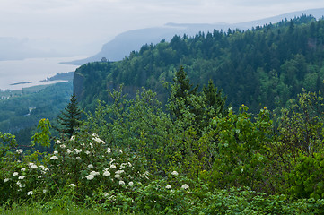 Image showing Columbia Gorge