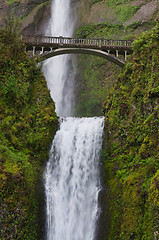 Image showing Multnomah Falls