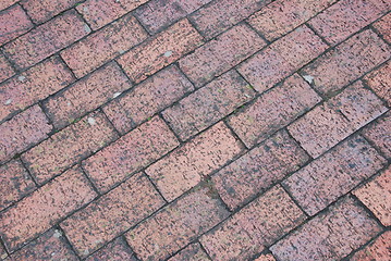 Image showing Brick tile floor