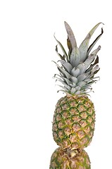 Image showing Pineapple