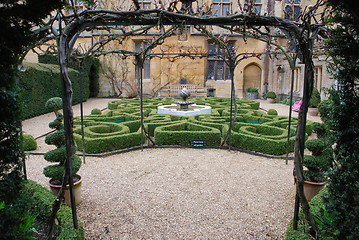 Image showing Topiary knot garden