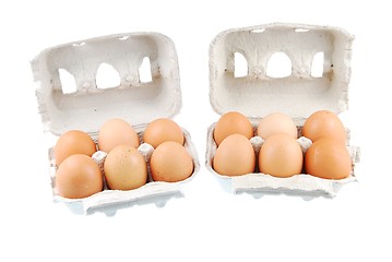 Image showing Twelve brown eggs packed in carton boxs