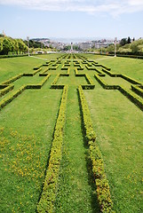 Image showing Eduardo VII park in Lisbon