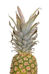 Image showing Pineapple