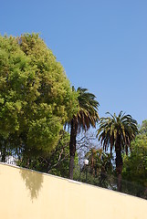 Image showing Boto Machado garden in Lisbon