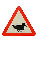 Image showing Duck crossing sign