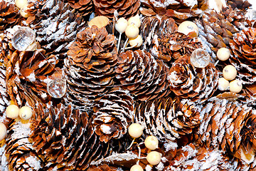 Image showing Pine cone texture