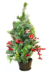 Image showing Small Christmas tree