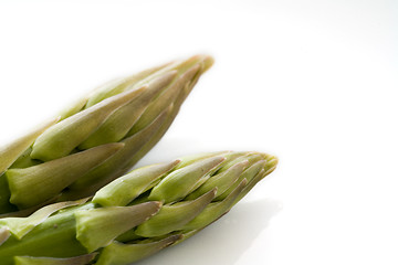 Image showing asparagus