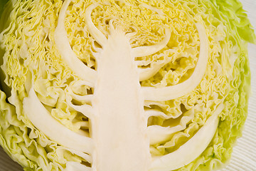 Image showing cabbage detail