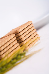 Image showing milk biscuits