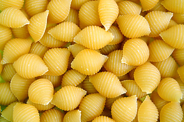 Image showing shells pasta