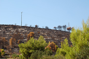 Image showing burned hill