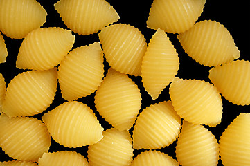 Image showing pasta shells background