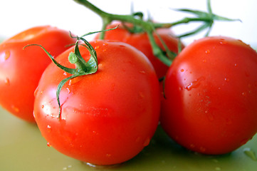 Image showing fresh tomatoes