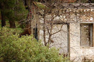 Image showing abandoned house