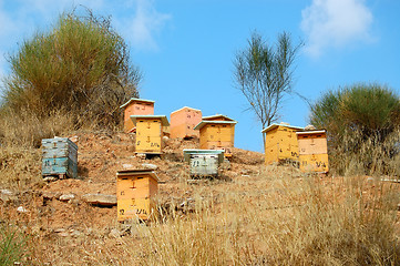 Image showing wooden beehives