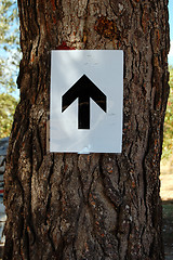 Image showing tree and arrow