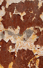 Image showing peeling paint