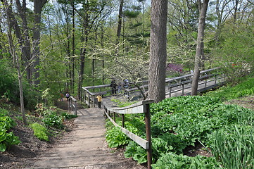 Image showing Royal Botanical Gardens