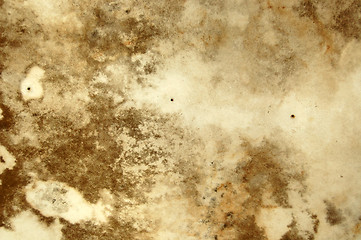 Image showing mold texture