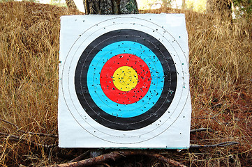 Image showing colorful shooting target