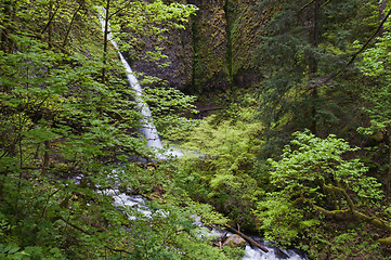 Image showing Waterfall