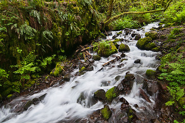 Image showing Stream