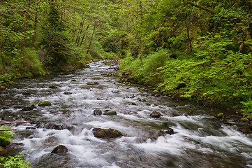 Image showing Stream