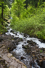 Image showing Stream