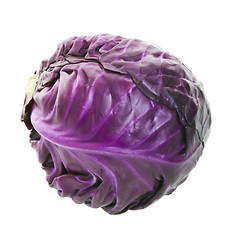 Image showing Purple Cabbage Head