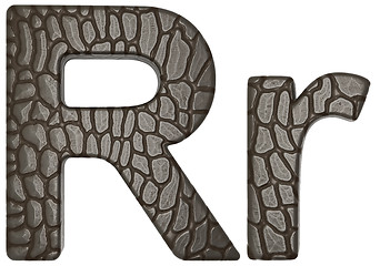 Image showing Alligator skin font R lowercase and capital letters