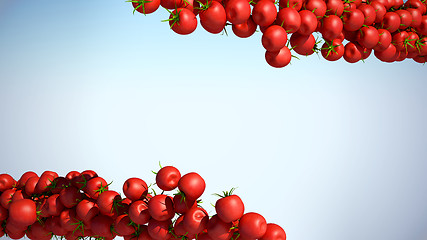 Image showing Two Tomatoe Cherry flows with space for text