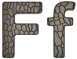 Image showing Alligator skin font F lowercase and capital letters