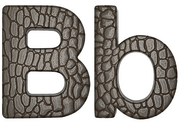 Image showing Alligator skin font B lowercase and capital letters