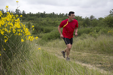 Image showing Man running in the country