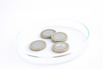 Image showing Euro coins in petri dish