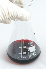 Image showing Red fluid in beaker