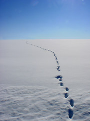 Image showing Winter Footsteps