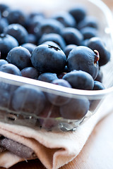 Image showing Blueberries